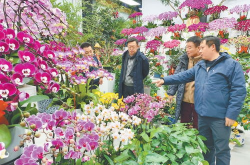 北京鲜花网,一站式鲜花订购平台，尽享便捷花艺生活”