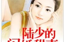 一婚到底:陆少的闪婚甜妻,陆少的甜蜜爱情奇遇记