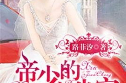 重生之墨少的嗜宠贵妻,墨少的心尖宠妻