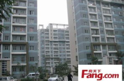 新港房屋出租,房屋出租新趋势与精选房源推荐