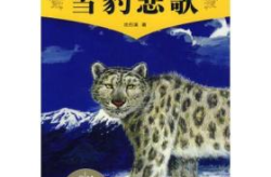 雪豹小说,从富家子弟到抗日英雄的传奇蜕变