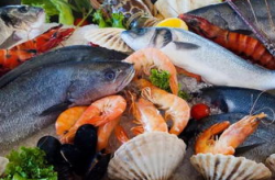 台湾大码头海鲜哪家好一点,探寻最佳海鲜餐厅推荐
