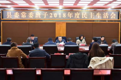 民主生活会个人发言材料,共促党性提升——民主生活会个人发言材料综述