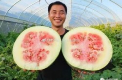 她已认不得人却始终忘不了让你吃瓜91吃瓜