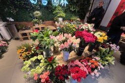 济南鲜花,浪漫花海，品味生活