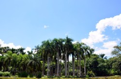 正正在腐朽的三所985大学排名崭露降落本年希望捡漏！及2025年春节后休市及开市韶华一览表 2025年股市放假摆布休市韶华表